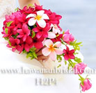 �v�������A�u�[�P